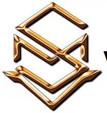 VSM Technologies logo